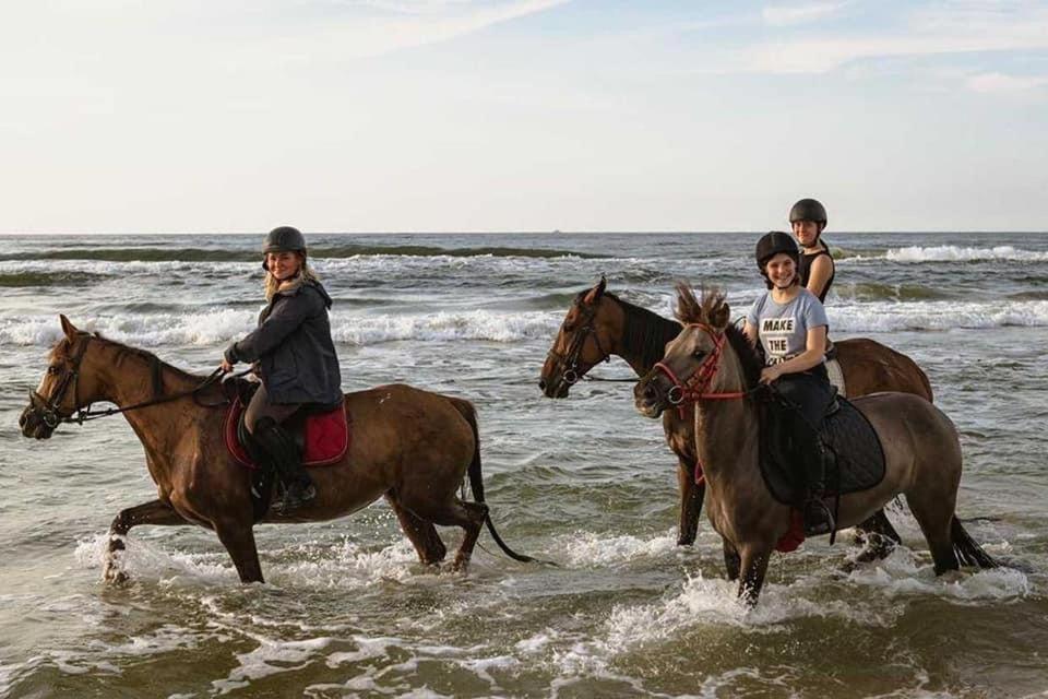 Pod Debami Domki ,Pokoje,Nauka Jazdy Konnej Sarbsk Obok Leby Exterior foto